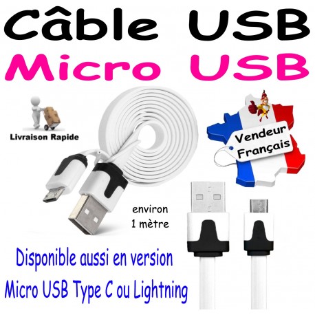 Câble USB / Micro USB pour iPhone iPad iPod