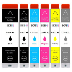 6 CARTOUCHES GENERIQUES PGI-570/CLI-571GY XL