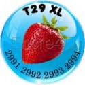 T29 XL Fraise